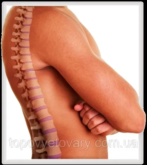 picture: Flexosamine - συστατικα, αγορα, Ελλάδα, τιμη, κριτικές, τι είναι, φαρμακειο
